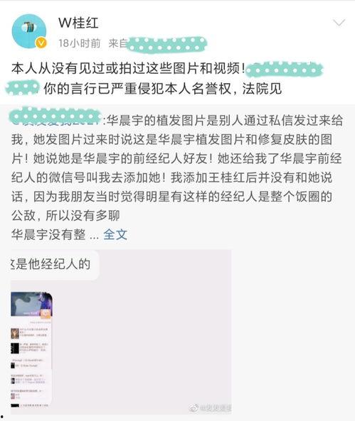 快乐吃瓜小说后续,快乐吃瓜小说续篇