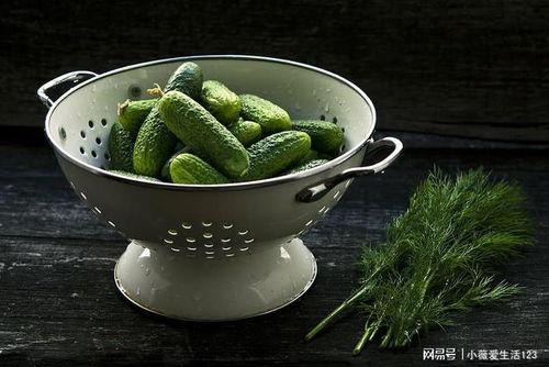 夏天吃蒲瓜的禁忌,食用禁忌知多少