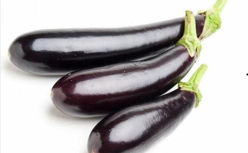 茄瓜肺癌可以吃不,茄瓜肺癌患者饮食调养指南