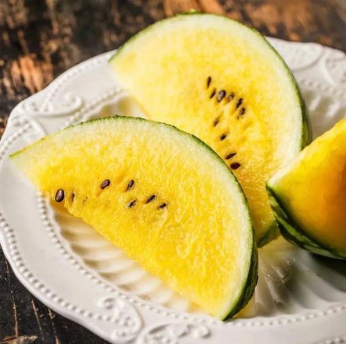 羽毛吃瓜,探寻自然与生活的和谐共鸣