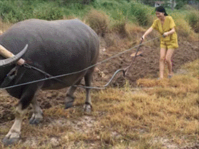 吃瓜摇头gif,趣味瞬间，笑翻你的朋友圈