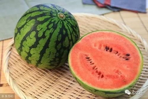 吃隔夜瓜切小肠