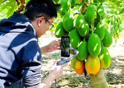 200万粉丝福利吃瓜