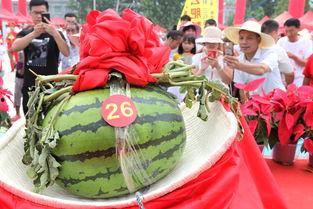 鄢陵县吃瓜,探寻当地特色美食之旅