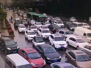 堵车吃瓜视频大全