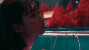 吃瓜少女轻生,揭开网络暴力背后的悲剧