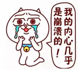 吃意大利呆瓜,探寻“呆瓜”背后的独特魅力