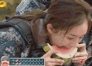 吃瓜群众秒变五瓜什么意思,揭秘网络热词背后的文化现象