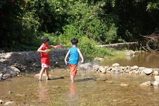 风景秀丽吃瓜,瓜果飘香——探寻秀美风光中的甜蜜时光