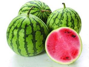 啥也不能耽误吃瓜,生活精彩无限