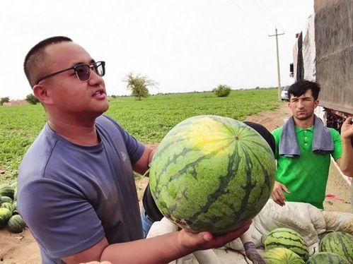 浏阳最近吃瓜新闻,揭秘本地热点事件背后的故事