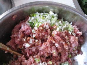 吃瓜群众元宝饺子