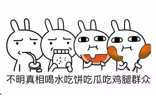 吵架也不忘吃瓜,一场别开生面的“吃瓜”大战