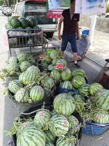 西安律师吃瓜事件,一场网络舆论的发酵与反思