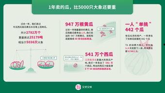 在家吃瓜消费报告,揭秘居家娱乐新趋势