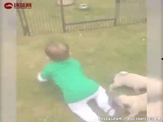 搞笑吃瓜场面描写,笑料百出！一场搞笑吃瓜盛宴