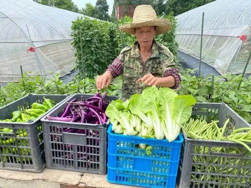 男博士加班吃瓜,揭秘职场“吃瓜”文化现象