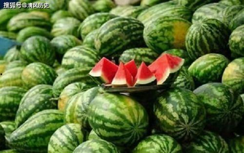 茹茹吃瓜说,揭秘娱乐圈幕后故事