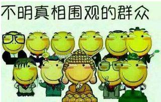 吃瓜群众筹,揭秘网络筹款背后的故事与温情