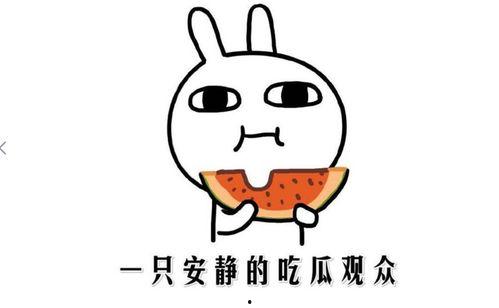 吃瓜事件哪里看,各大平台实时追踪报道汇总