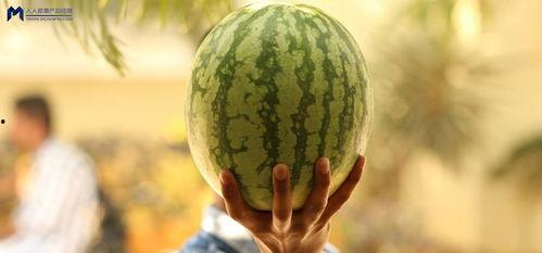 吃瓜事件哪里看,各大平台实时追踪报道汇总