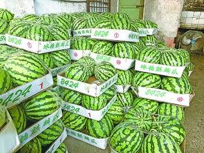 武子吃瓜,揭秘娱乐圈幕后故事