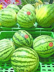 武子吃瓜,揭秘娱乐圈幕后故事