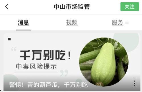 幼儿吃葫芦瓜的好处,幼儿健康成长的绿色伴侣