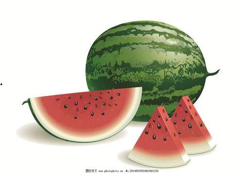 带篮子评价吃瓜,一场别开生面的带篮子吃瓜体验