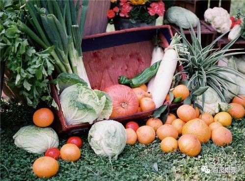 吃瓜来宾,揭秘娱乐圈背后的故事