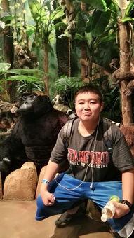 林冉吃瓜群众,吃瓜群众的视角，揭秘娱乐圈风云