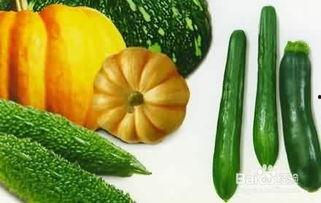 系统吃瓜完结文,一场跨越时空的甜蜜复仇之旅