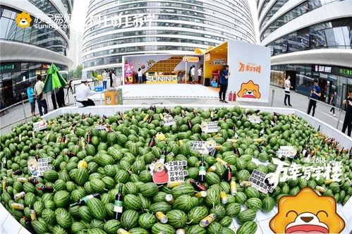 苏宁家乐福吃瓜,揭秘超市巨头背后的争议风云