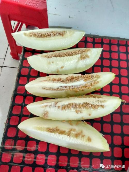 带篮子评价吃瓜,一场别开生面的带篮子吃瓜盛宴