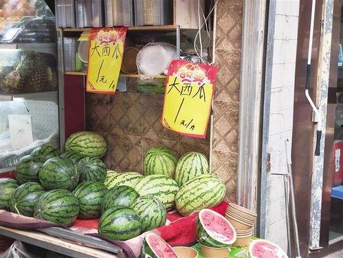 兰州14中吃瓜,揭秘校园里的“瓜田”风云