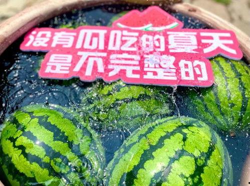 大型集体吃瓜现场,全民狂欢，瓜香四溢