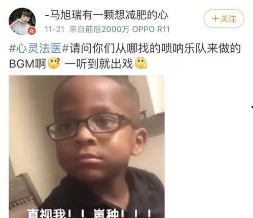 吃瓜群众的音乐bgm,音乐BGM中的欢乐时光