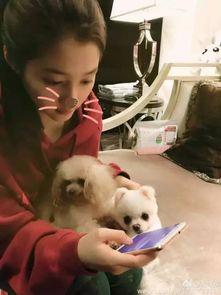 女生上班吃的瓜,揭秘女生上班时的小确幸——美味瓜果时光