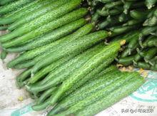 站在阳台吃瓜,闲适生活的一角