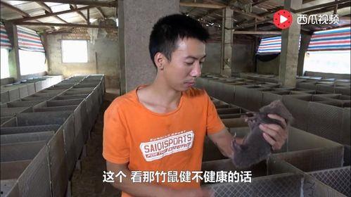 马浩然吃瓜视频,揭秘娱乐圈幕后故事