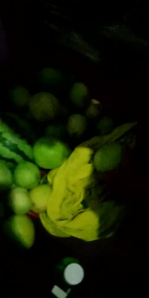 瓜地中偷瓜吃,一场欢乐的夏日冒险