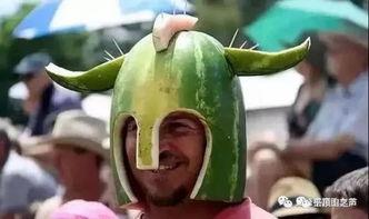 鹰城吃瓜,一场别开生面的吃瓜盛宴