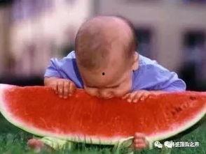 鹰城吃瓜,一场别开生面的吃瓜盛宴