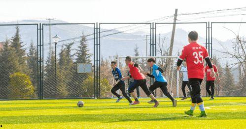 体育学院球场吃瓜,瓜田里的欢乐时光