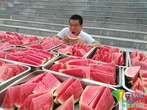 在线吃瓜小说学校,吃瓜群众眼中的校园秘事