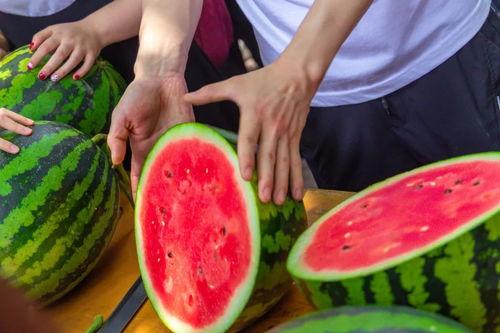 在线吃瓜小说学校,吃瓜群众眼中的校园秘事