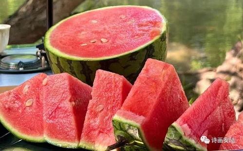 南安官桥吃瓜,探寻南安官桥的夏日美食风情