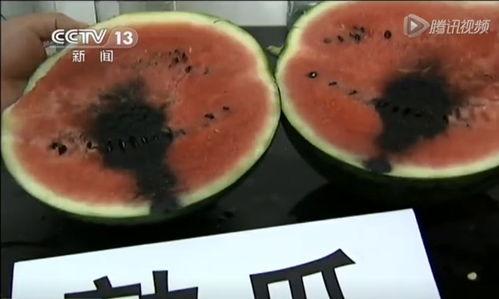 西瓜条吃瓜视频大全,趣味横生的夏日消暑盛宴