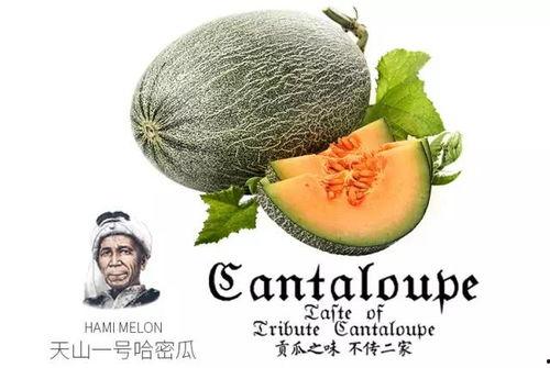 吃蜜瓜广告,尽享夏日甜蜜时光——蜜瓜广告篇