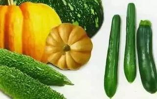 天涯吃瓜2.0,揭秘网络热议背后的真相与笑料